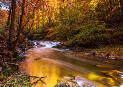 great smoky mountains creek travel is sweet