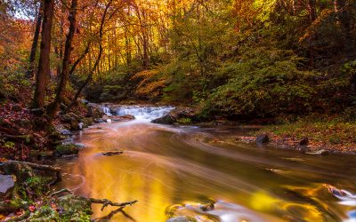 Great Smoky Mountains