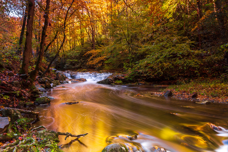 great smoky mountains creek travel is sweet