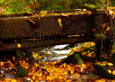 great smoky mountains fall colours travel is sweet