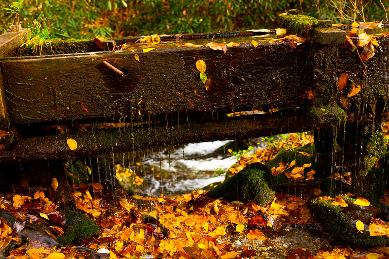 great smoky mountains fall colours travel is sweet