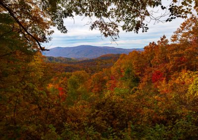 great smoky mountains lookout travel is sweet