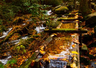 great smoky mountains river travel is sweet