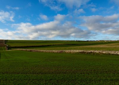 scottish border fields travel is sweet