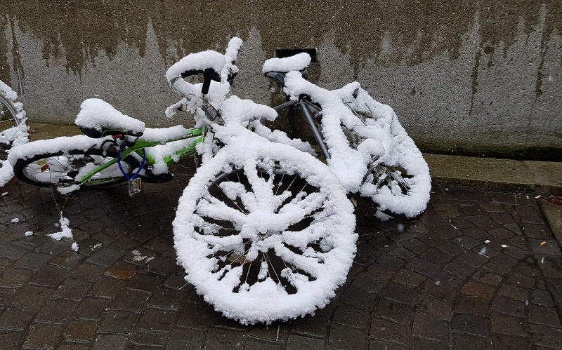 white bike house sitting judi travel is sweet