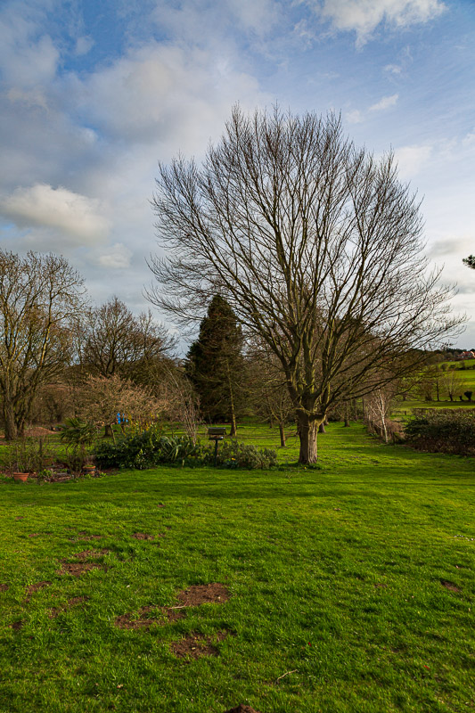 house sitting oxford back yard travel is sweet