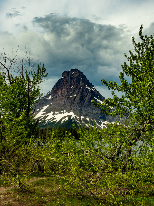 travel bug sinopah mountain travel is sweet