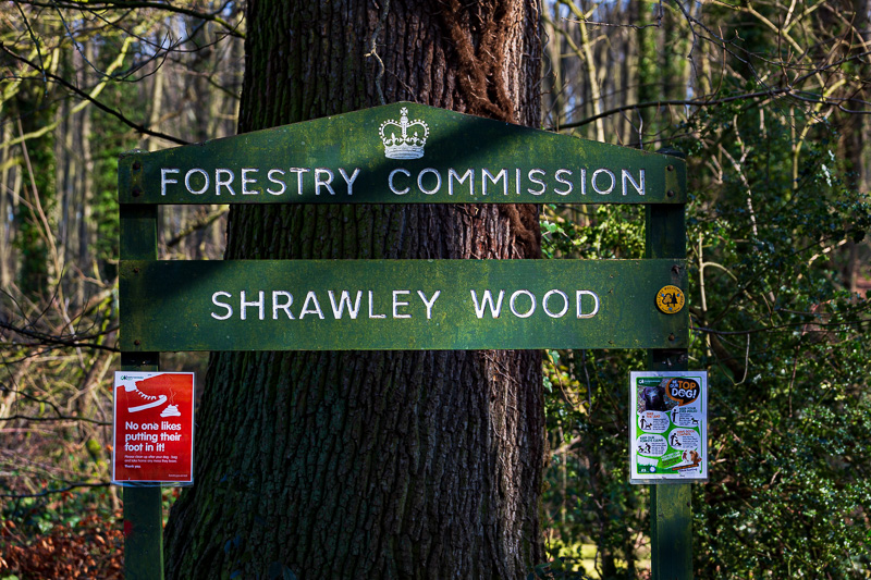 house sitting witley shrawley wood travel is sweet