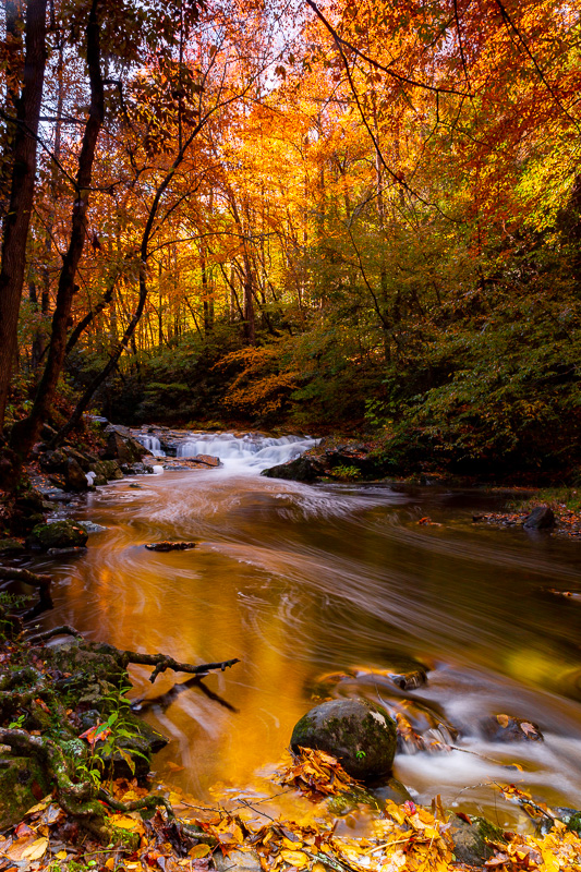 my top 10 destinations cades cove travel is sweet