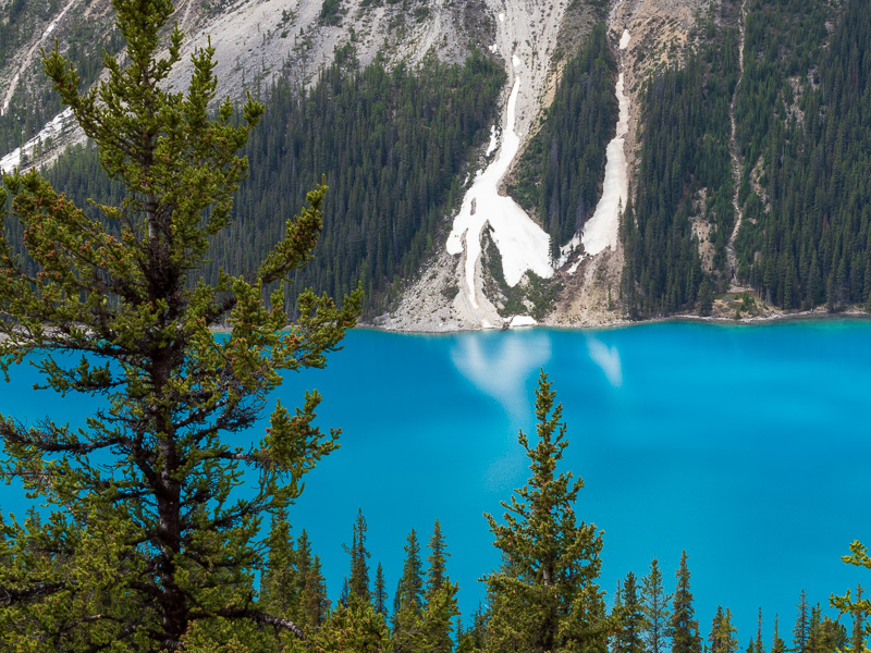 my top 10 destinations peyto lake landslip travel is sweet