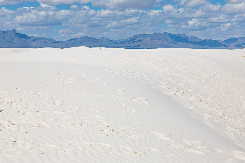 deming to roswell dune travel is sweet