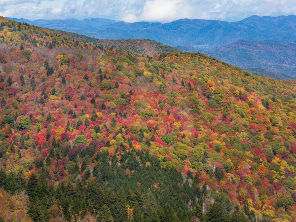 fall colour travel is sweet