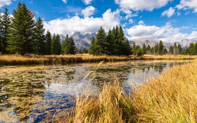 Grand Teton Wyoming