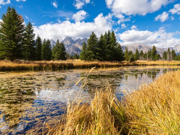 grand tetons np travel is sweet