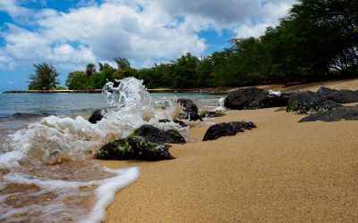 Perfect Haleiwa