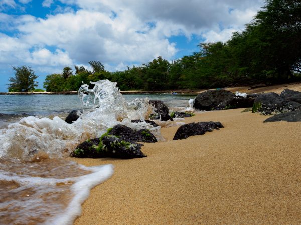 perfect haleiwa travel is sweet