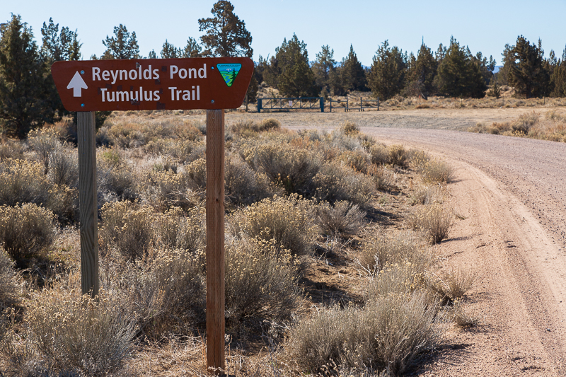 boondocking reynolds pond oregon entrance