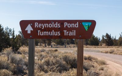 Boondocking Reynolds Pond Oregon