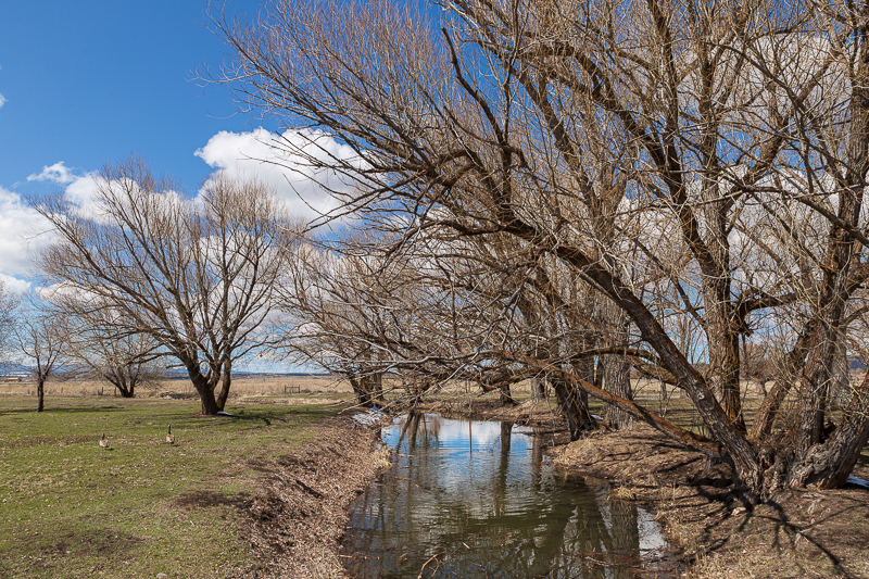 boondocking desert rose casino alturas creek