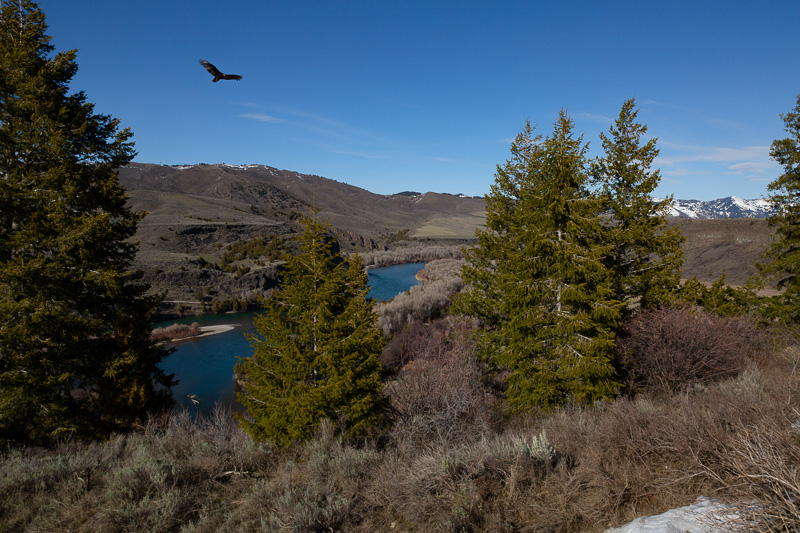 boondocking clark hill rest stop eagle